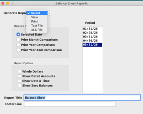 balance sheet screen