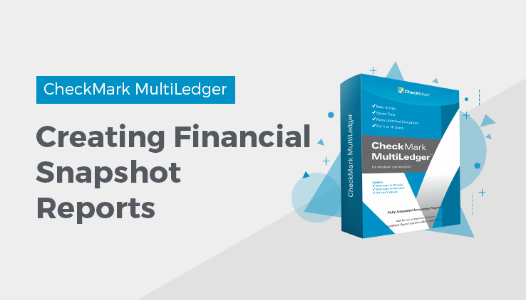 creating financial snapshot reports creating financial snapshot reports