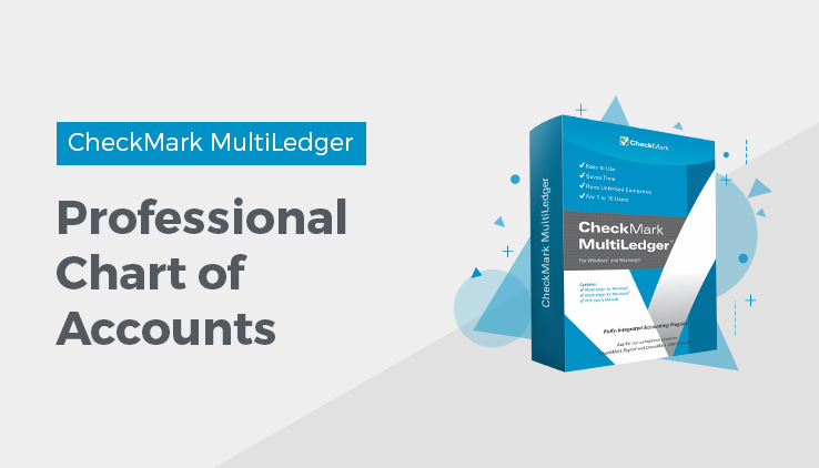 professional chart of accounts Professional Chart of Accounts