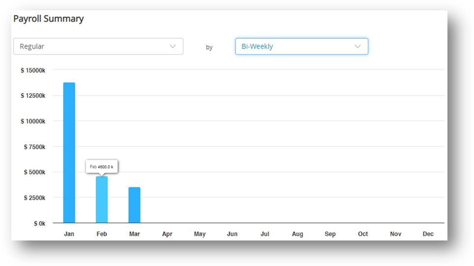 Payroll Summary Dashboard of CheckMark Online Payroll